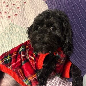 Meet your Posher, Michele